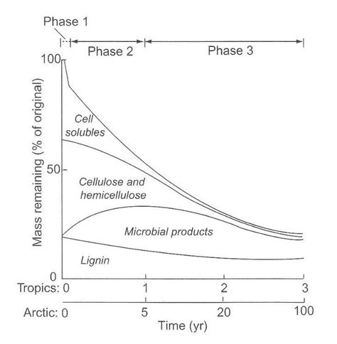 leaching litter after autoclaving|Leaching and Decomposition of Litter I. Experiments on Leaf .